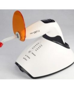 Alternative view of spring flower pink daisy 15mm