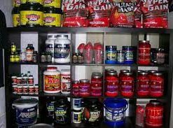 muscle gainer protein