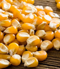 Alternative view of Wire Metal Locker - Powder Coated Steel Mesh - Single - 1 Door - 1 Tier