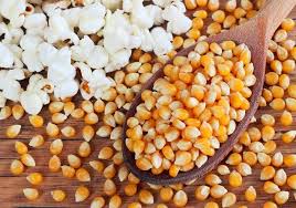 Wire Metal Locker - Powder Coated Steel Mesh - Single - 1 Door - 1 Tier - Image 5