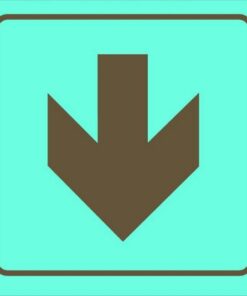 Photoluminescent Sign - Red Arrow Down - 190 x 190mm - SIGNPRA(D)190