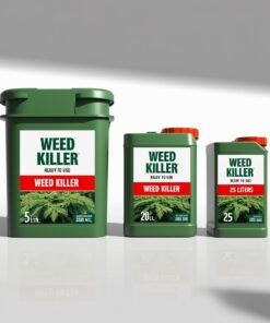 Pbigordon Trimec Rts Lawn Weed Killer (946ml)