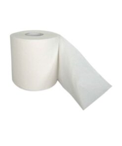 Toilet Paper - 1 Ply - Economy - 500 Sheets - Pack of 48 - PP_39