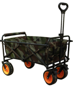 Dragon Daily Trolley