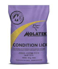 Molatek Kondisielek 50Kg