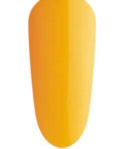 Butternut Mini