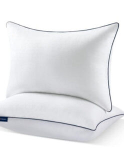 Hygienic Waterproof Pillow