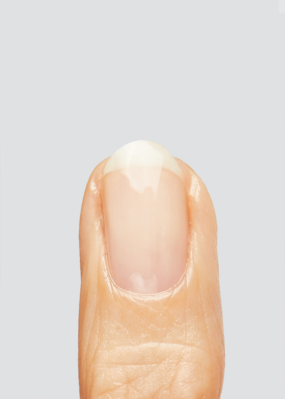 Bond Base - Hema free base coat - Image 2