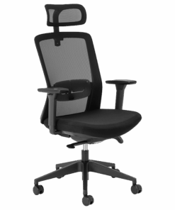 Aila Ergo High Back Chair