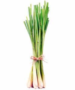 Lemongrass essential oil 10ml