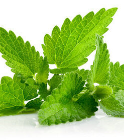 Patchouli essential oil 10ml
