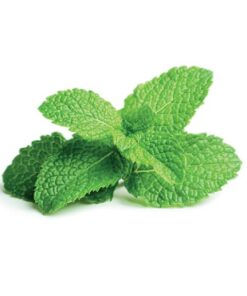 Peppermint essential oil 10ml