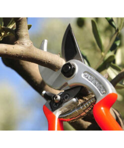 Alternative view of Castellari Ergonomic Pruning Shear